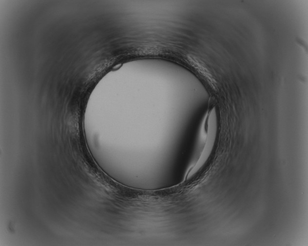 X0000092330681200710121534
