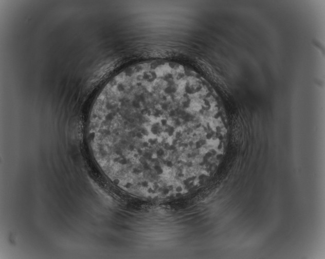 X0000092330683200710121534