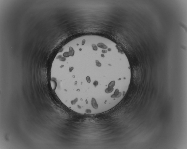 X0000092330684200710121534