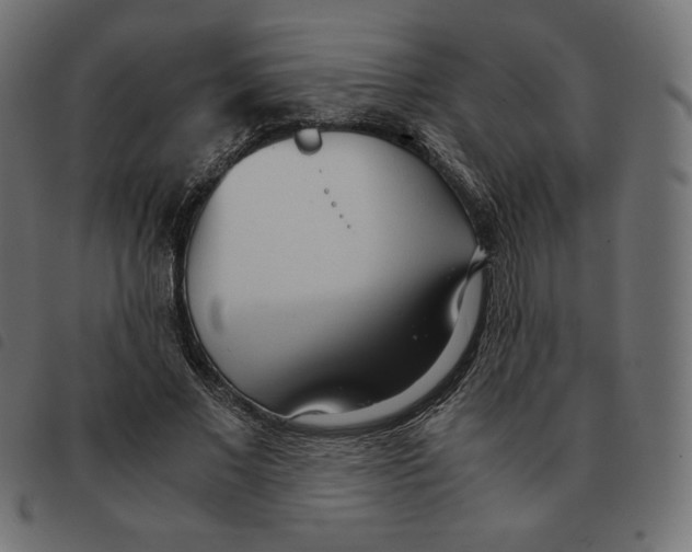 X0000092330685200710121534