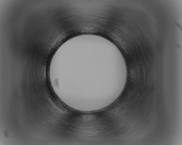 X0000092330686200710121534