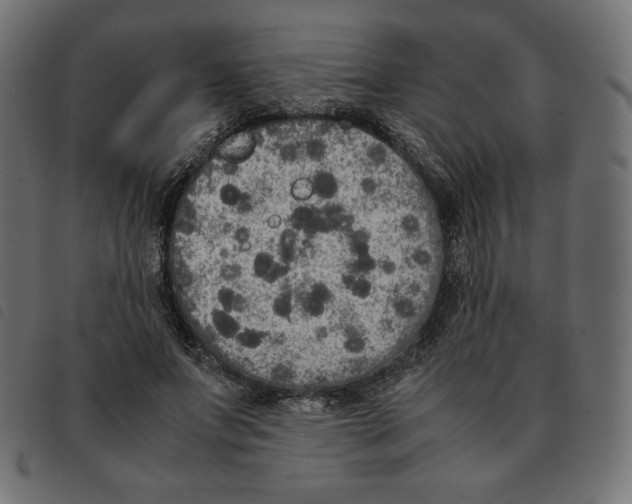 X0000092330687200710121534