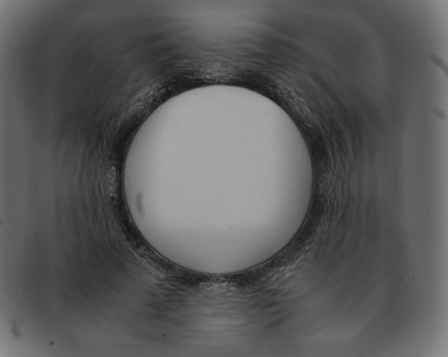 X0000092330689200710121534