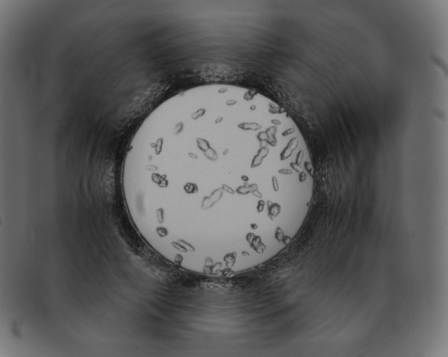 X0000092330690200710121534