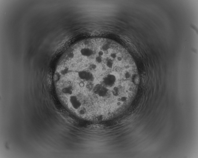 X0000092330691200710121534