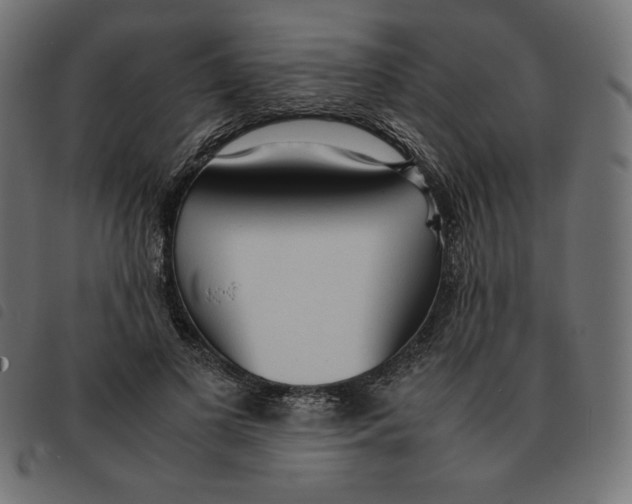 X0000092330693200710121534