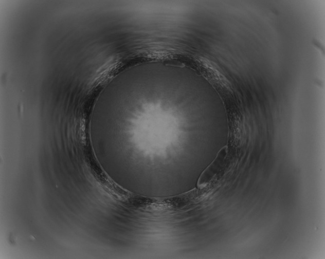 X0000092330696200710121534