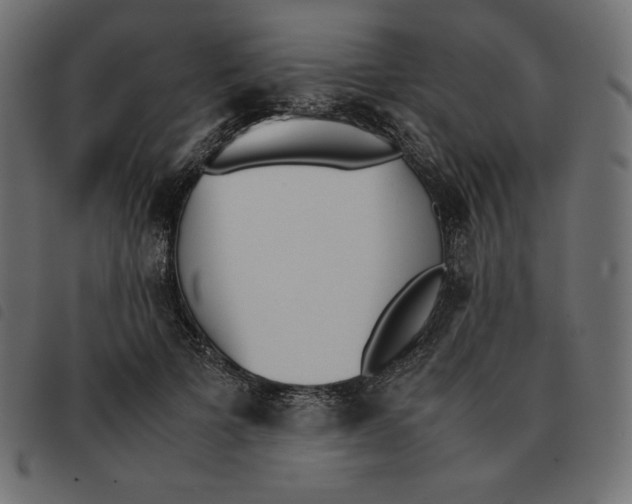 X0000092330697200710121534