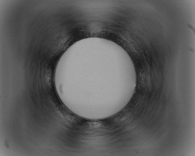 X0000092330698200710121534