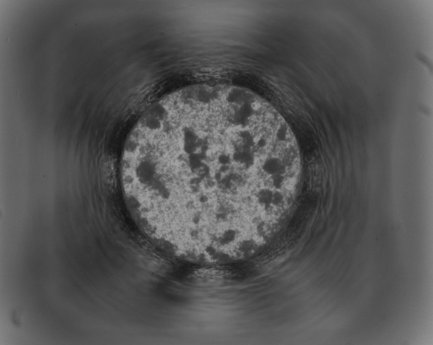 X0000092330699200710121534