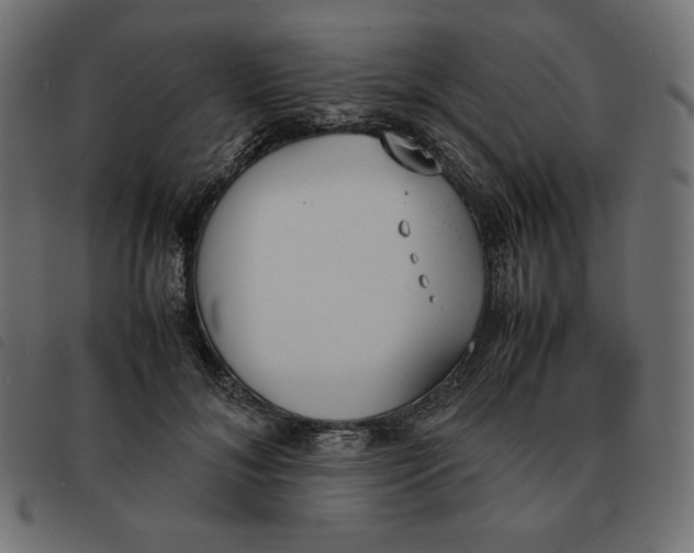 X0000092330700200710121534