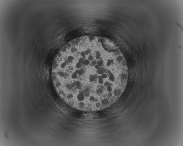 X0000092330703200710121534