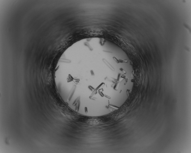X0000092330704200710121534