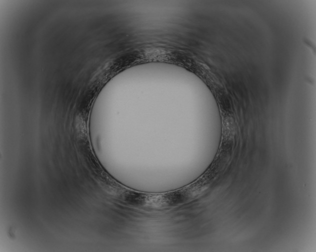 X0000092330705200710121534
