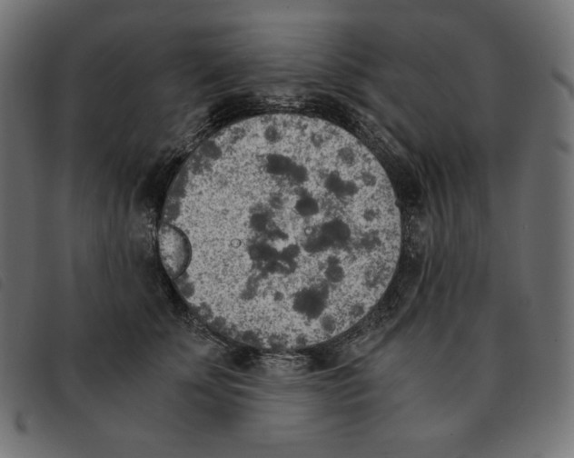 X0000092330707200710121534