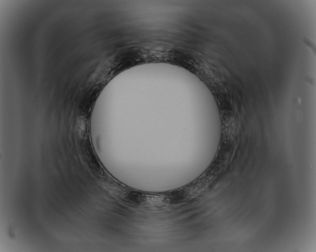 X0000092330709200710121534