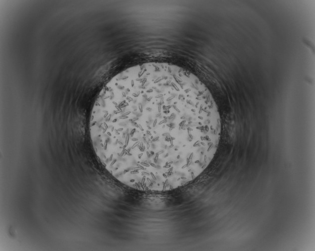 X0000092330710200710121534