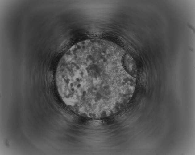 X0000092330711200710121534