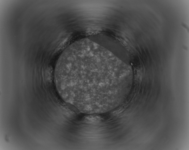 X0000092330712200710121534