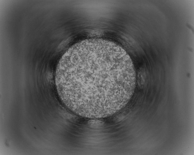 X0000092330714200710121534
