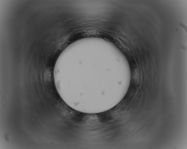 X0000092330715200710121534