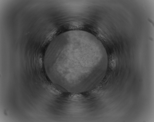 X0000092330716200710121534