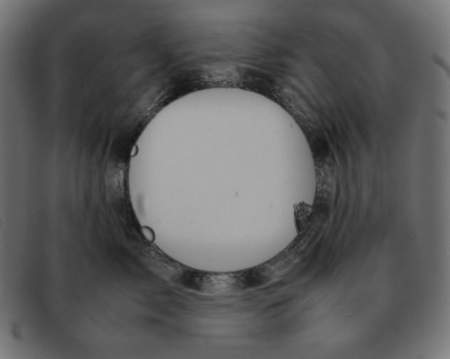 X0000092330717200710121534