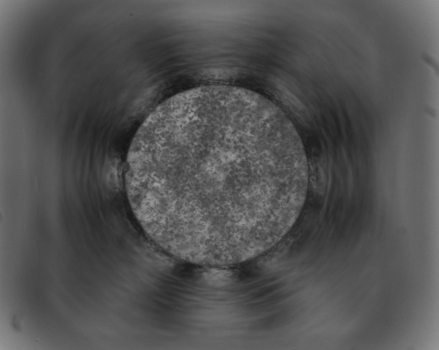 X0000092330718200710121534