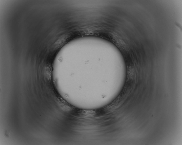 X0000092330719200710121534