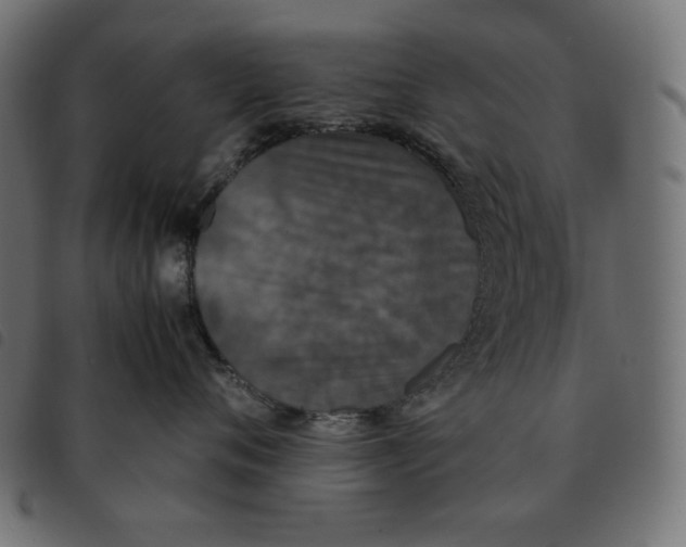 X0000092330720200710121534