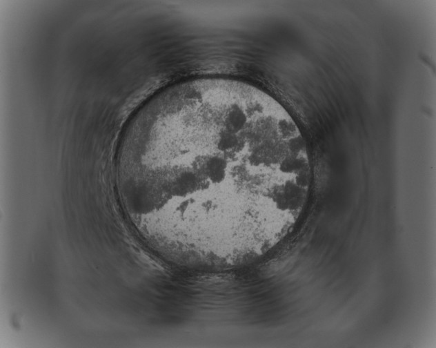 X0000092330721200710121533