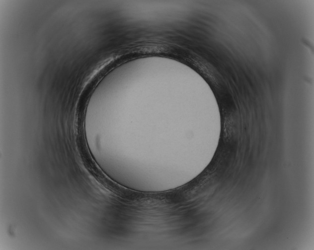 X0000092330722200710121533