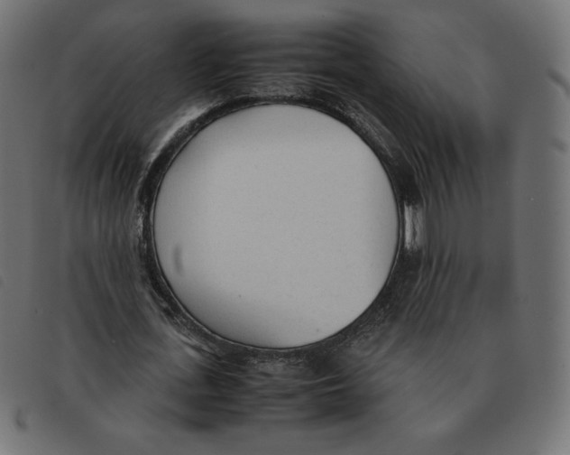 X0000092330723200710121533