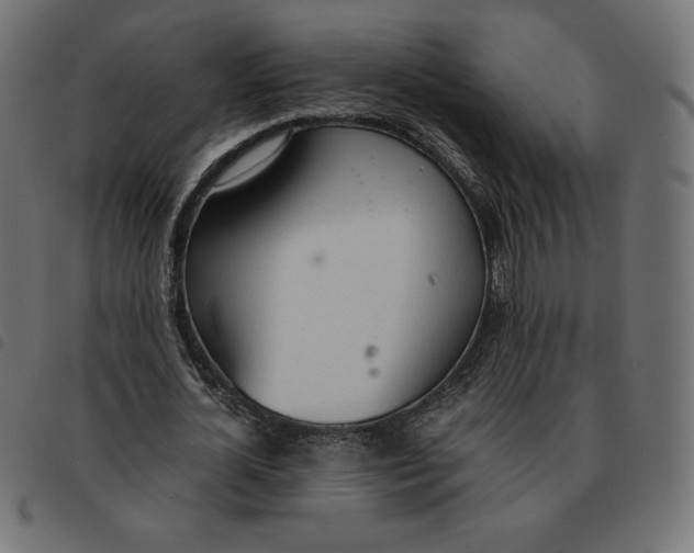 X0000092330724200710121533