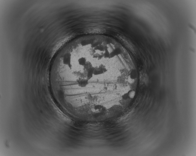 X0000092330725200710121533