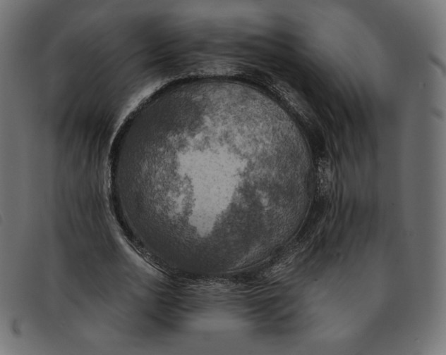 X0000092330726200710121533