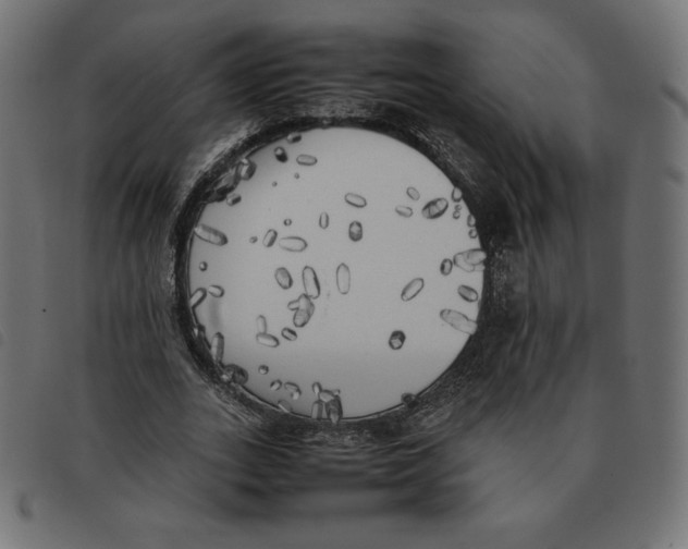 X0000092330727200710121533