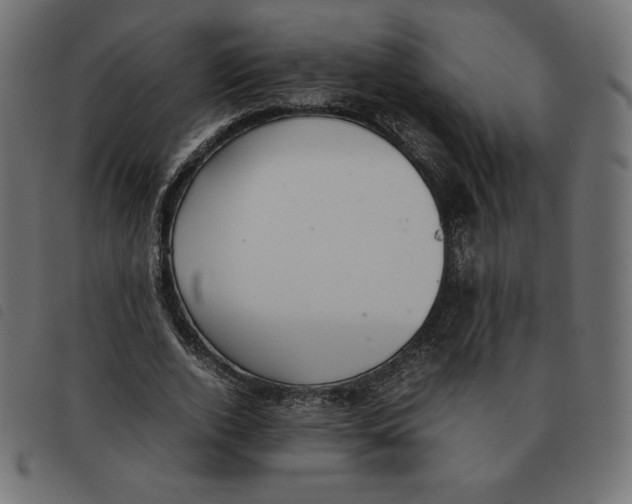 X0000092330728200710121533
