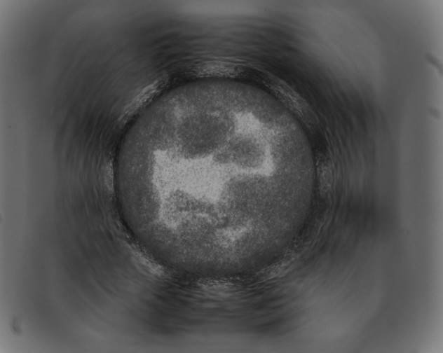 X0000092330729200710121533