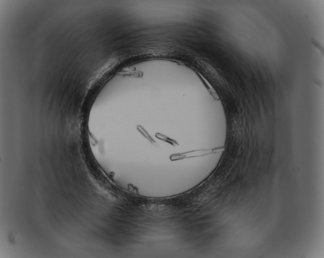 X0000092330730200710121533