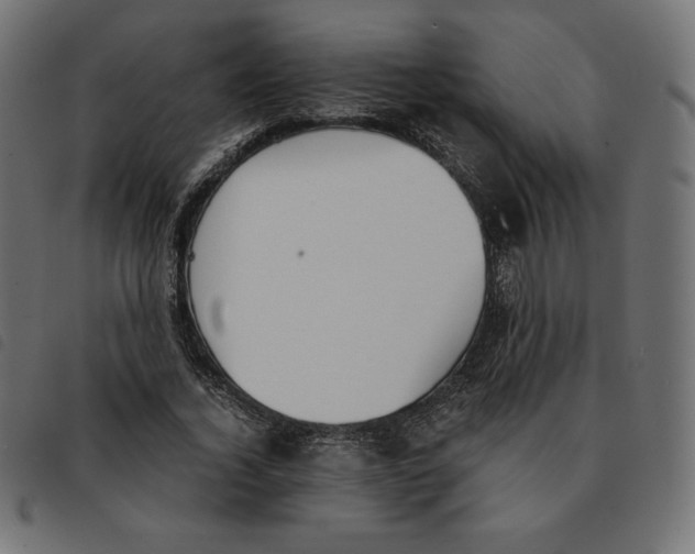 X0000092330732200710121533