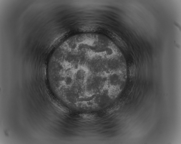 X0000092330733200710121533