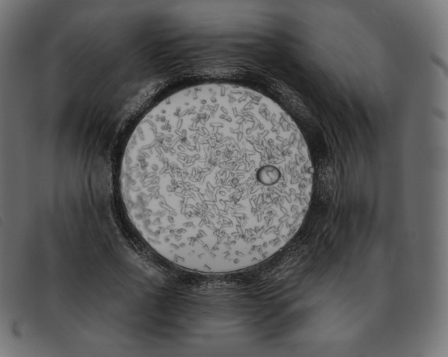 X0000092330734200710121533