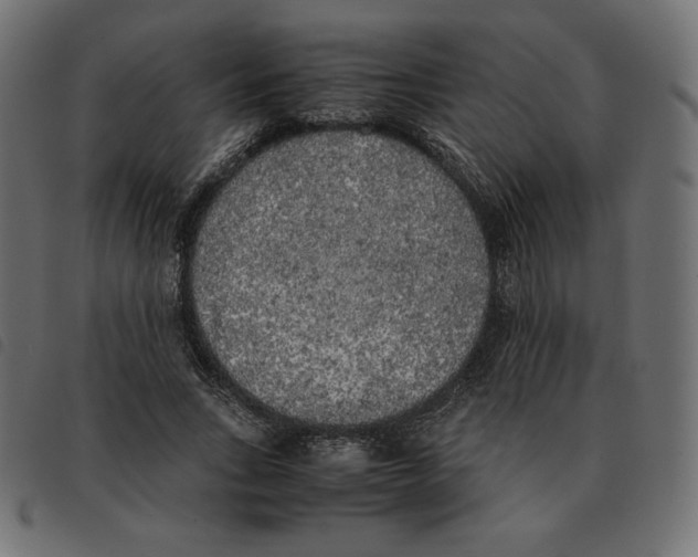 X0000092330735200710121533