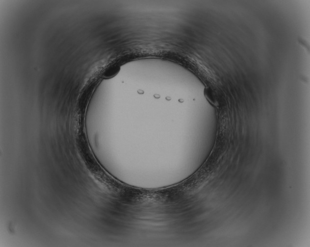 X0000092330736200710121533