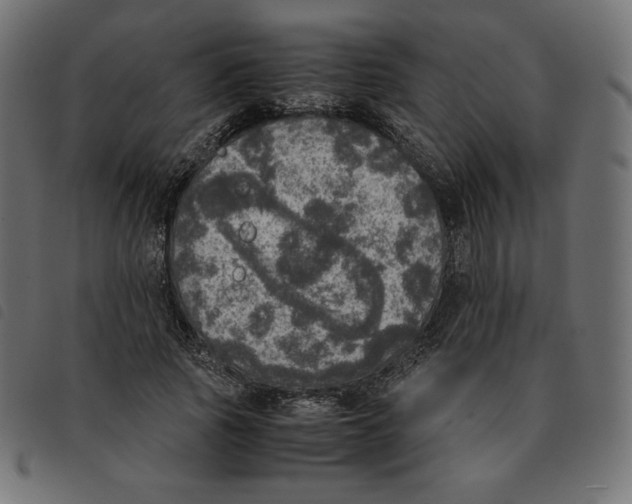 X0000092330737200710121533