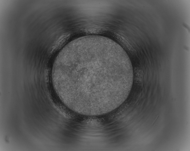 X0000092330738200710121533