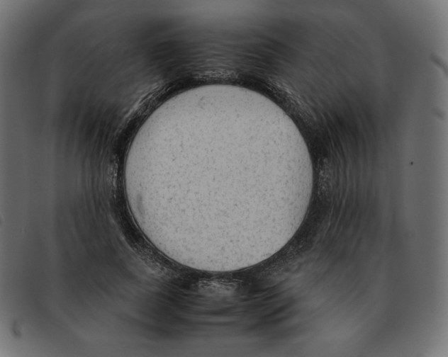 X0000092330739200710121533