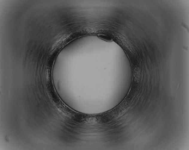 X0000092330740200710121533