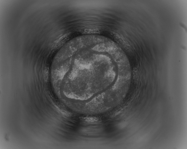X0000092330741200710121533
